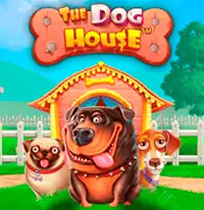 The Dog House